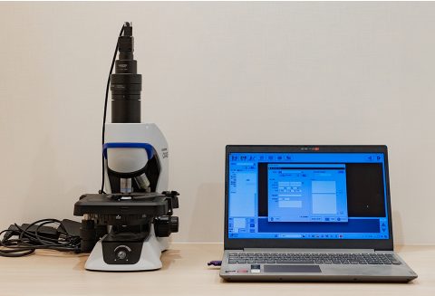 顕微鏡で細菌・カビの確認