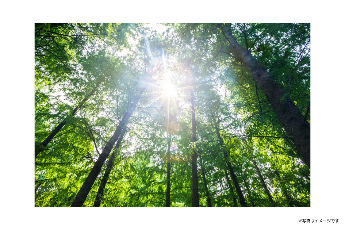 患者様の自然な治癒力を最大限に活かした診療を行っています