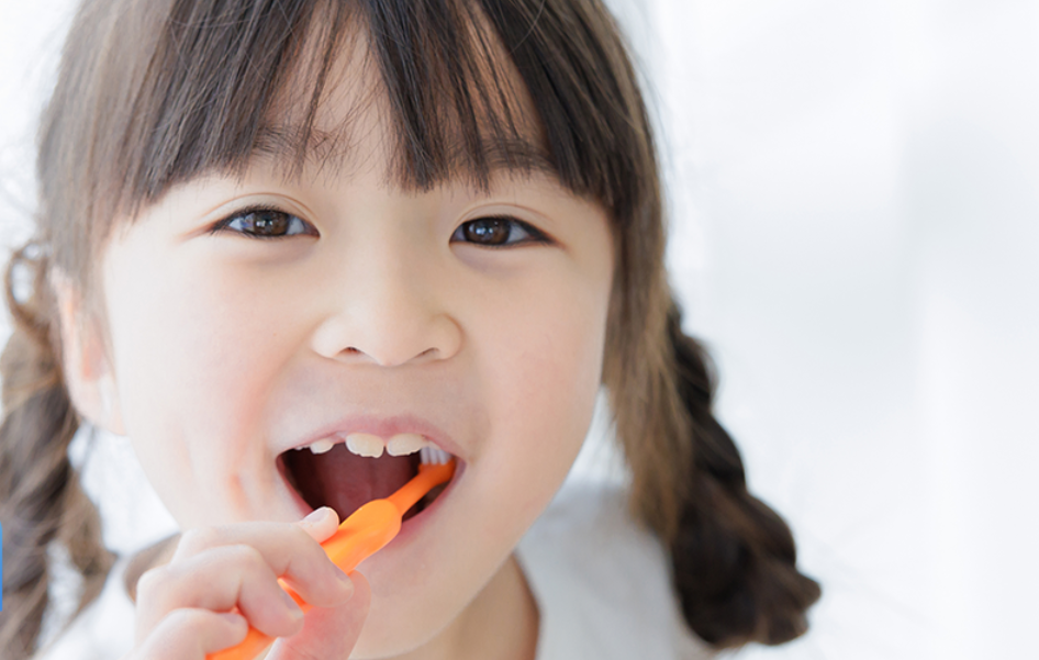 正しいブラッシング指導と専門的ケアで歯周病の進行を防止