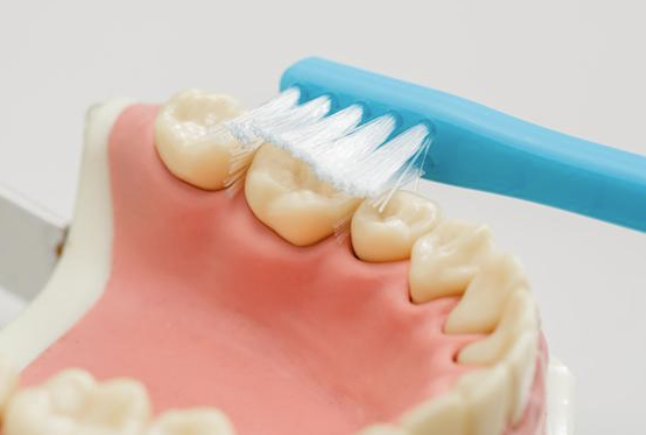 歯磨き法、つまようじ法の様子