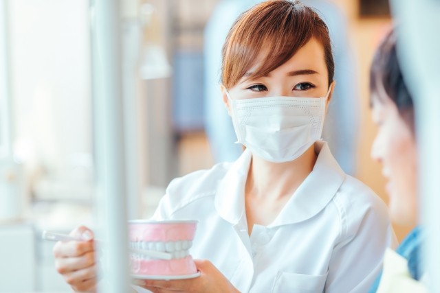 写真はイメージです