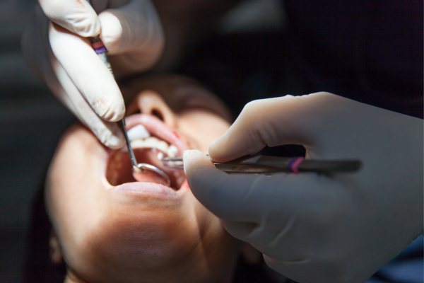 ※画像はイメージです