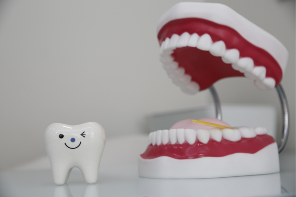 ※画像はイメージです