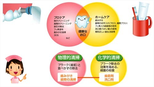 予防を中心とした継続管理を通じ、生涯にわたり自分の歯で過ごせる状態の維持を目指しています。