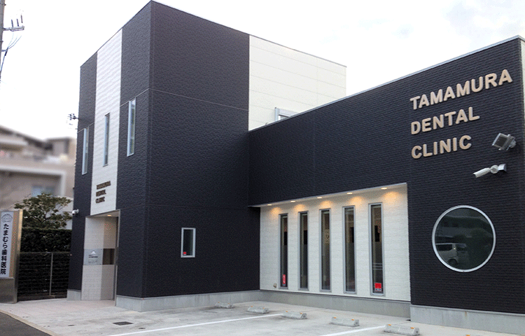 子どもから高齢者まで、虫歯や歯周病にならないよう歯を守っていきましょう