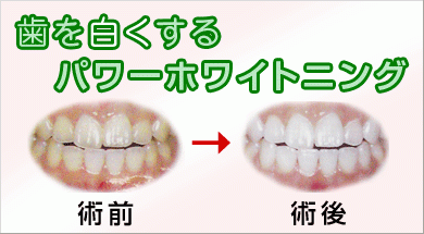 歯科医療と審美の結びつきを重要視し、常に変化する美の価値観や文化の違いに柔軟に対応しながら治療に取り組んでいます