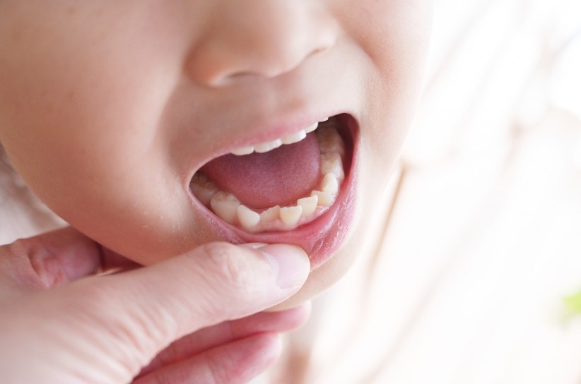 ※画像はイメージです。