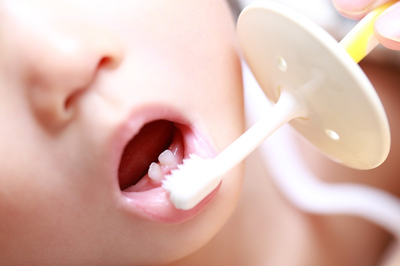 お子様のお口の健康をサポートします