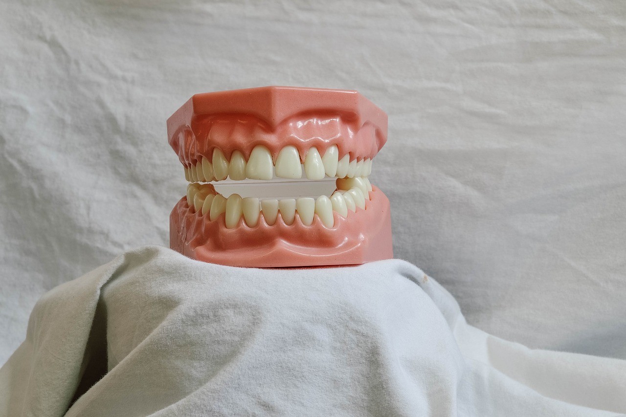 現在使用している入れ歯のずれや痛み、噛みにくさ、見た目に関する相談にも対応しています。※写真はイメージです。