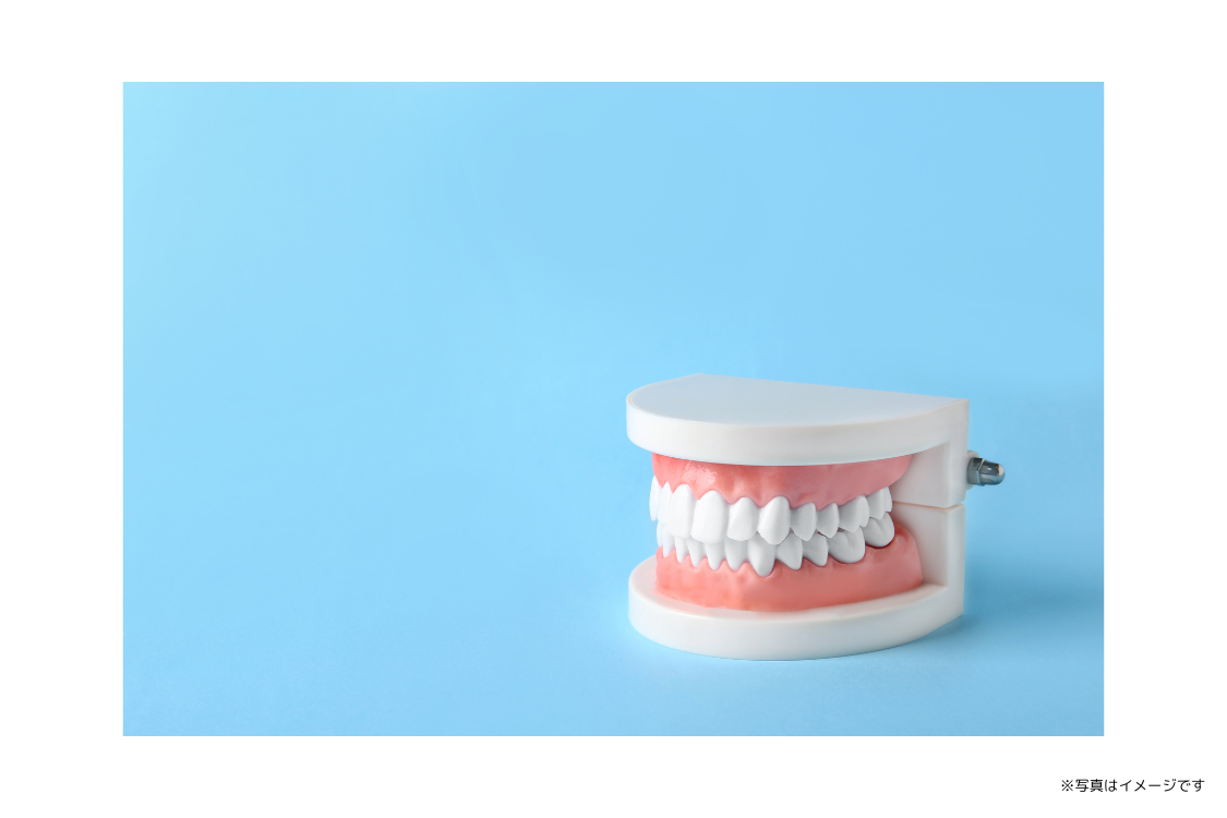 【予防中心で幅広い診療に対応】安心して通える地域密着型の井上歯科