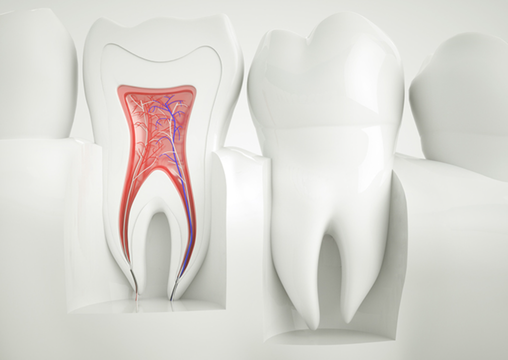 最新設備と専門知識で、確実な根管治療を実現します