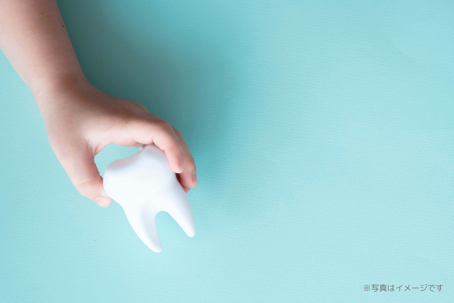 お子様の成長に合わせた診療を行い、虫歯の予防や健康的な歯の育成をサポートしています