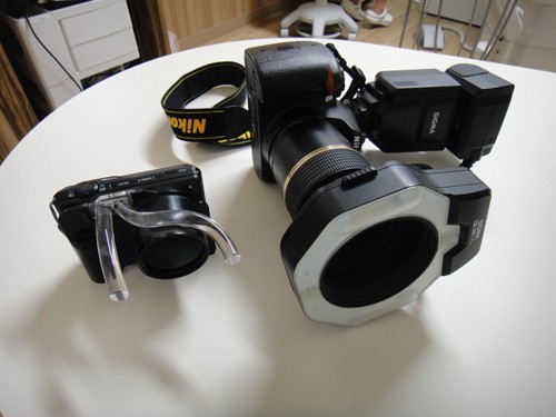 口腔内カメラにより口腔内の現状を把握します