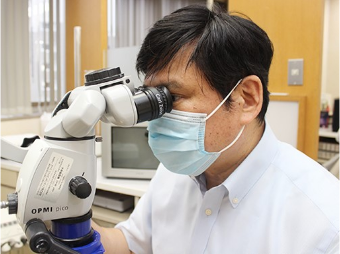 顕微鏡下では感染部分と健康部分がはっきりと区別できます