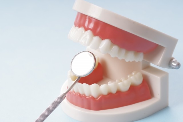 写真はイメージです