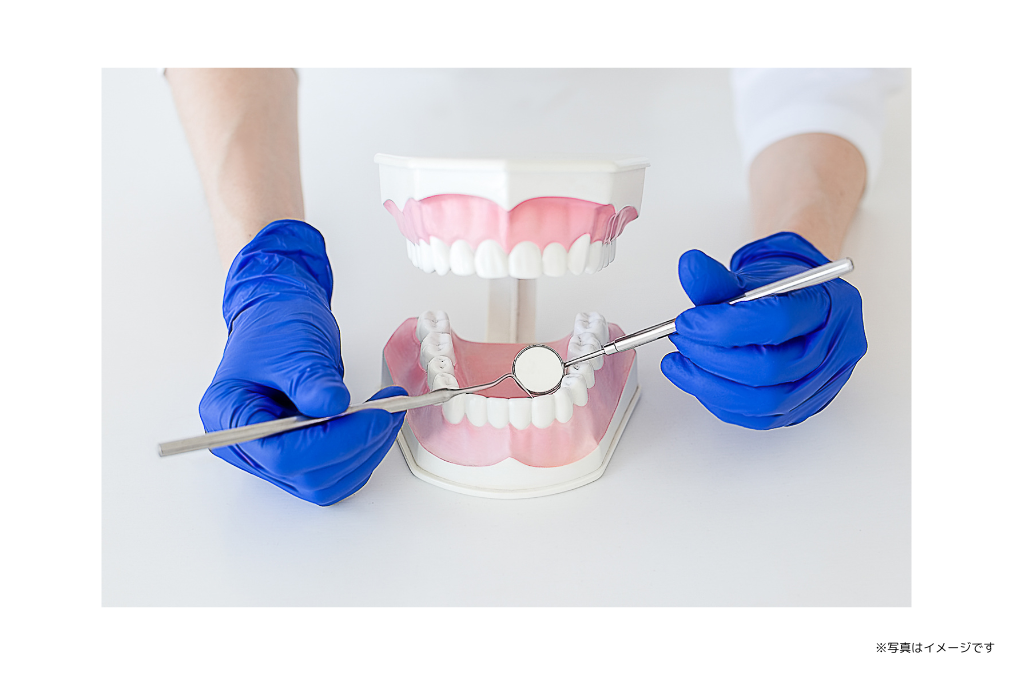 ※写真はイメージです