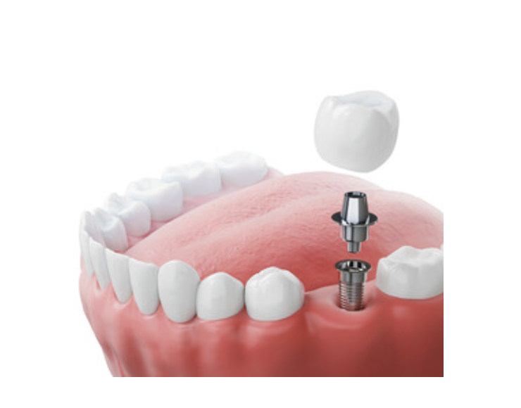 高度な技術と丁寧な診療で、安心して治療を受けていただける環境を提供しています