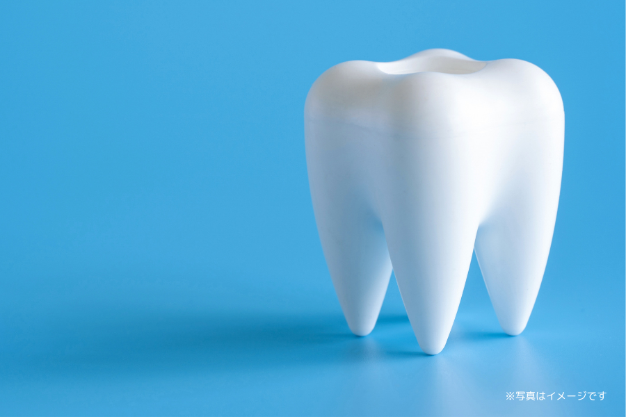 患者様一人ひとりの状態や希望に寄り添った対応が行われています