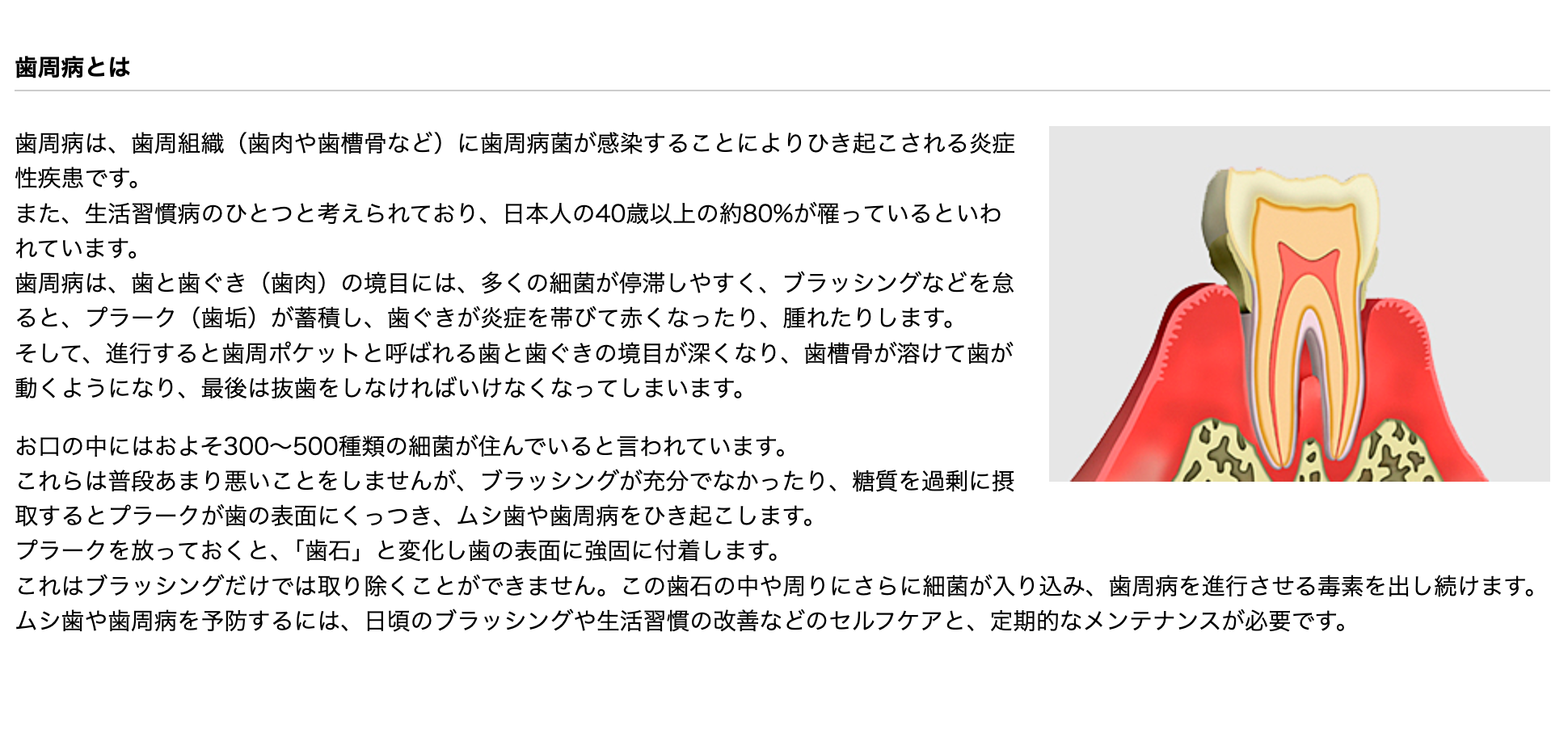 歯周病の早期発見と適切な治療を通じて、患者様の口腔内の健康を守ることを目指しています
