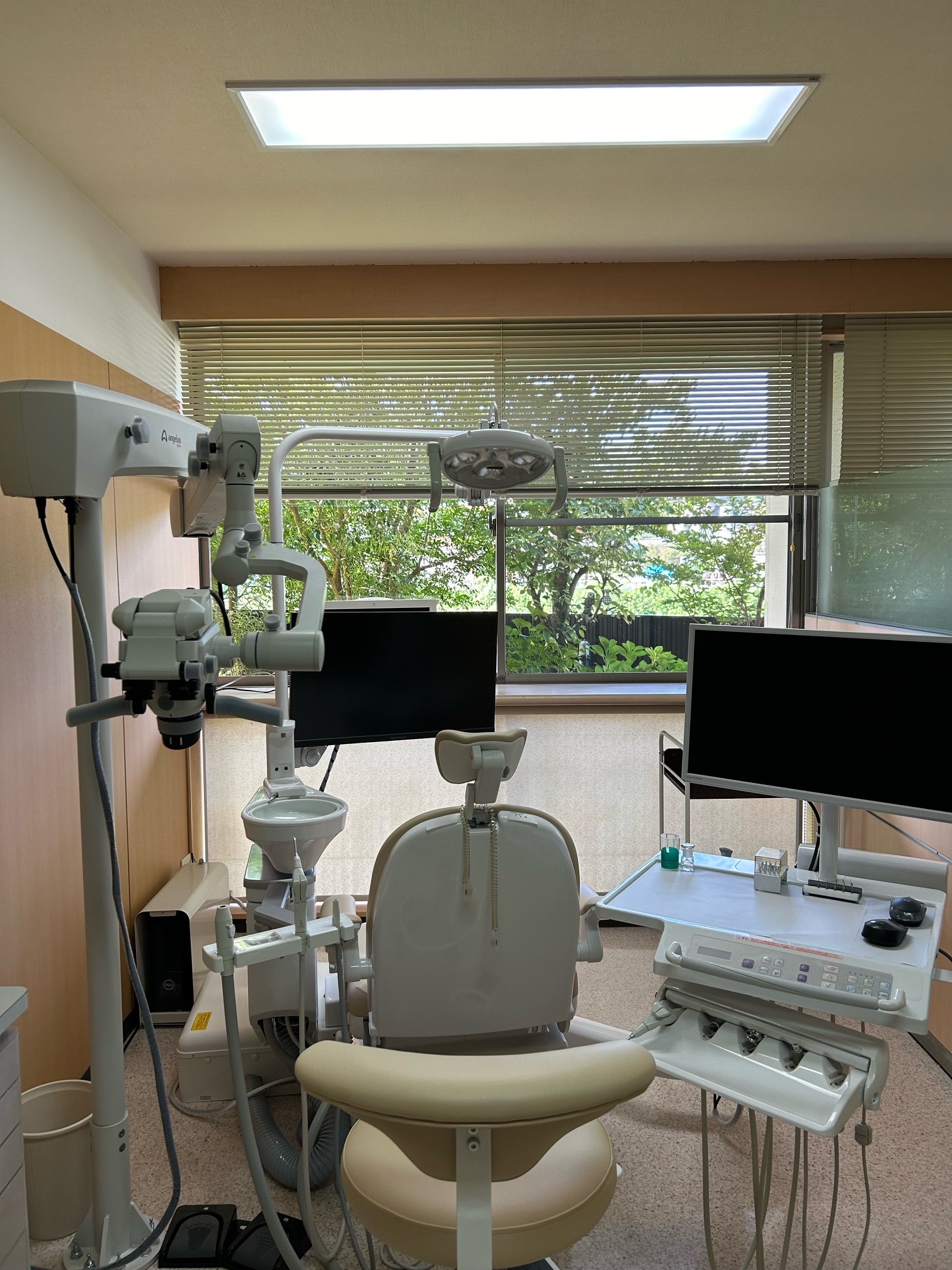 【バリアフリー・駐車場完備】地域に根ざした丁寧な歯科医療を大切にするやくしじ歯科医院