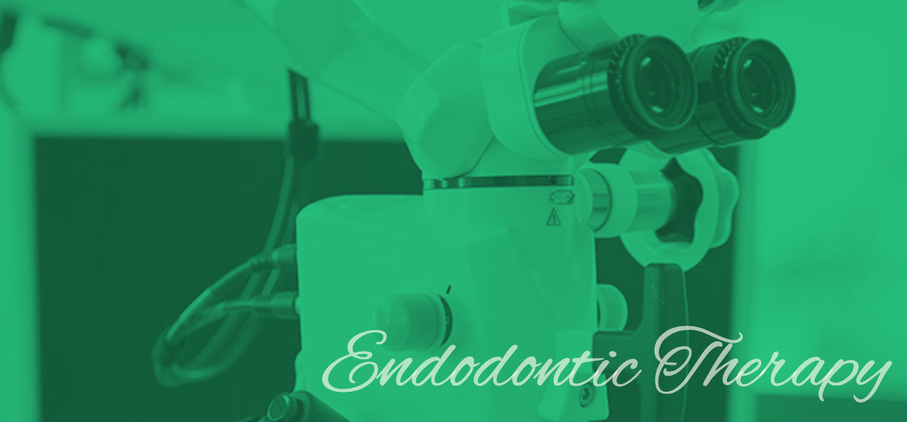 根管内の状態を詳細に確認しながら、精度の高い処置を行っています