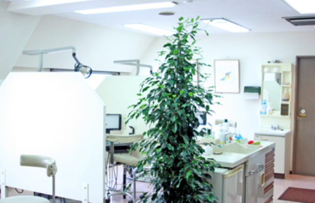 ①クリニック外観②待合室③診療室