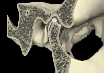 顎の不調を根本から見直す治療