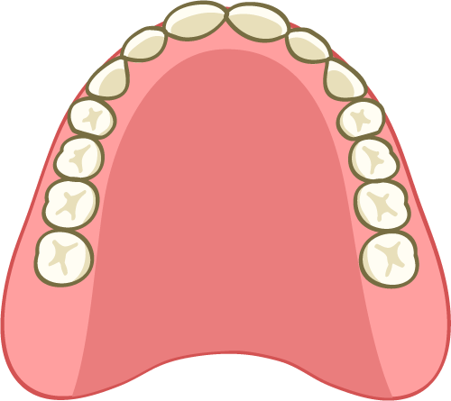 噛む力も見た目も、義歯でサポート