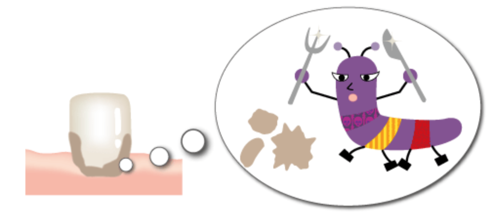 歯周病を予防するために、定期的にご来院ください