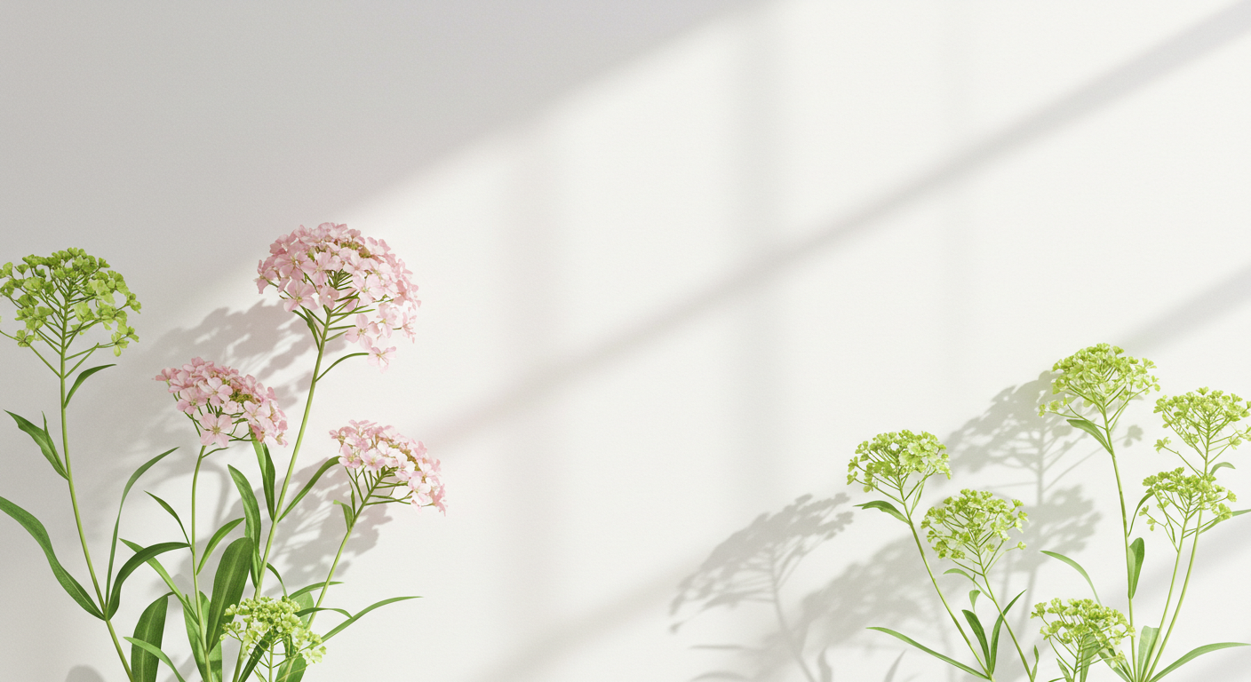 心地よく通える歯科治療を提供