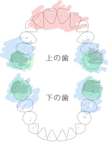 年齢に合わせた予防と指導を行っています