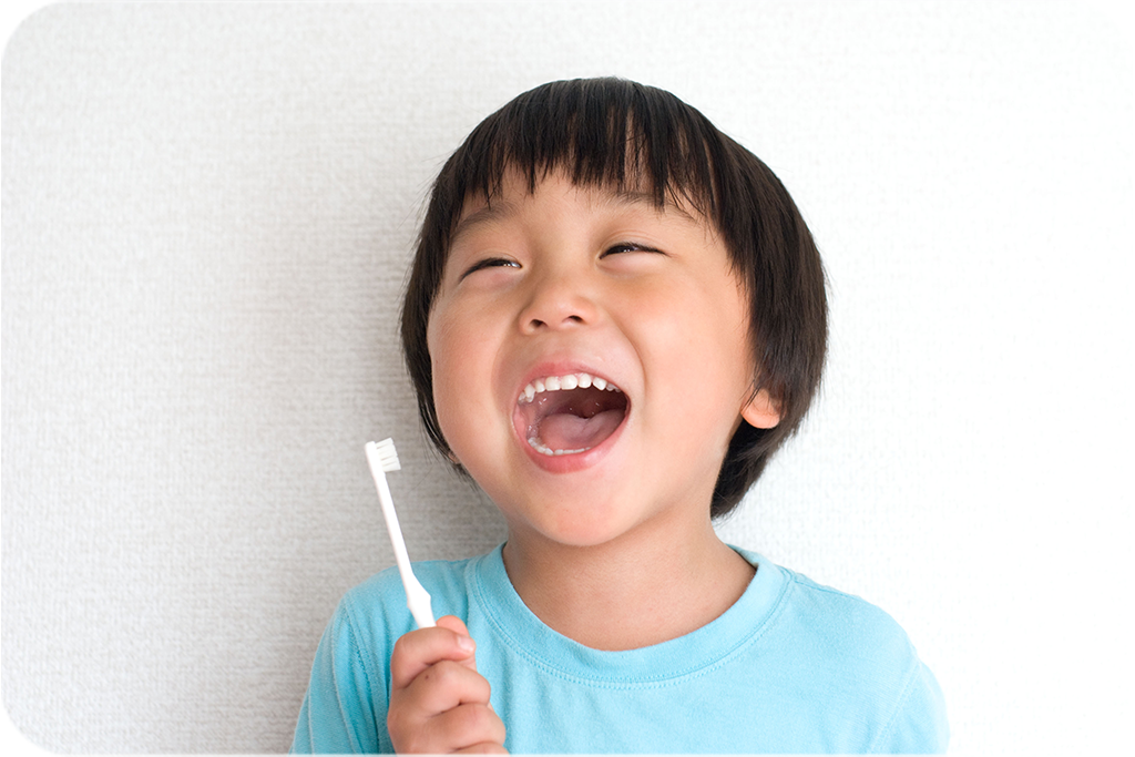 乳歯や生え変わり期の歯は大人の歯に比べて石灰化が不十分でデコボコしており、歯磨きもしにくいため虫歯になりやすいという特徴があります