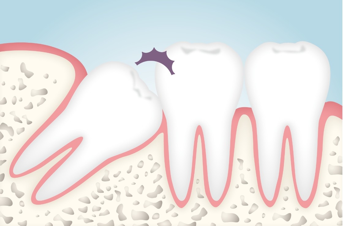 ※画像はイメージです。