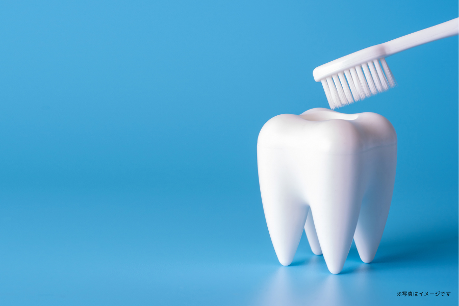 患者様一人ひとりの口腔内の健康を支える診療が行われています