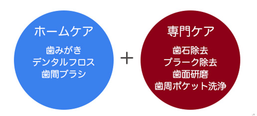 日常のセルフケアと、専門的な口腔ケアの両方を組み合わせることが重視されています