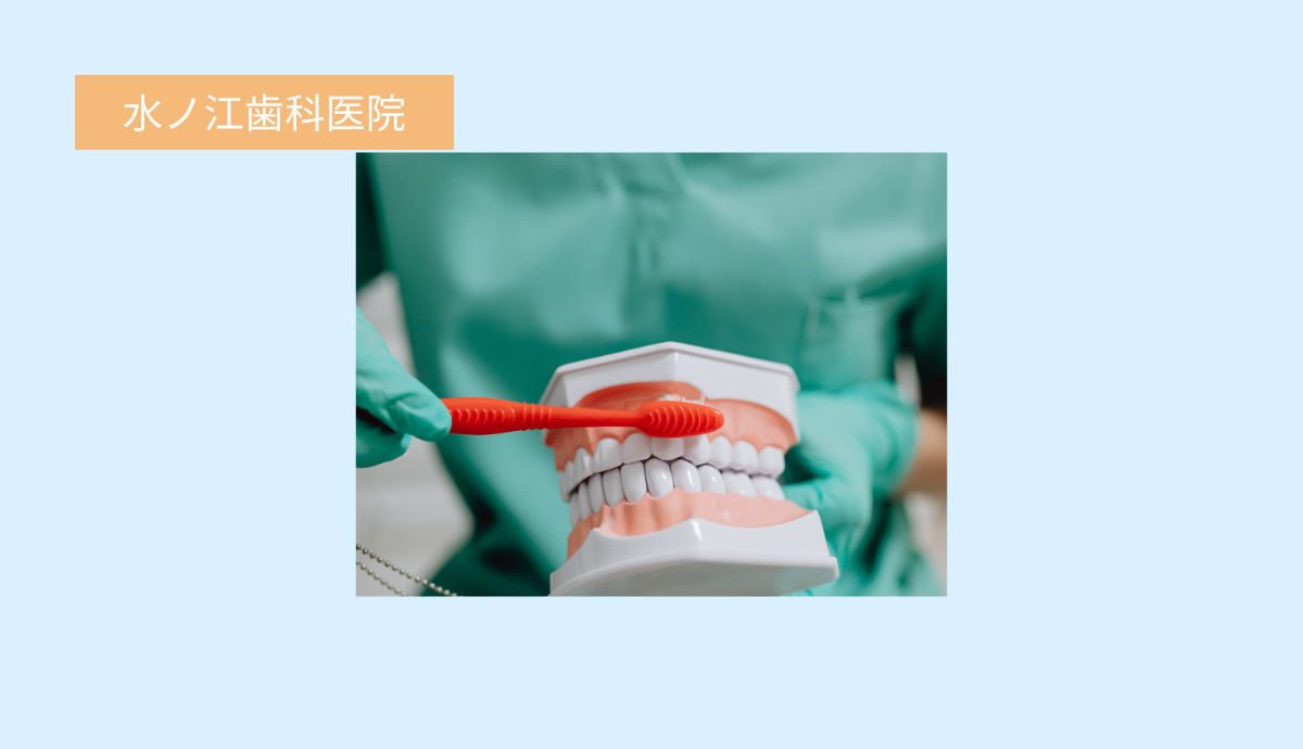 【歯の健康を守る予防ケアにも注力】