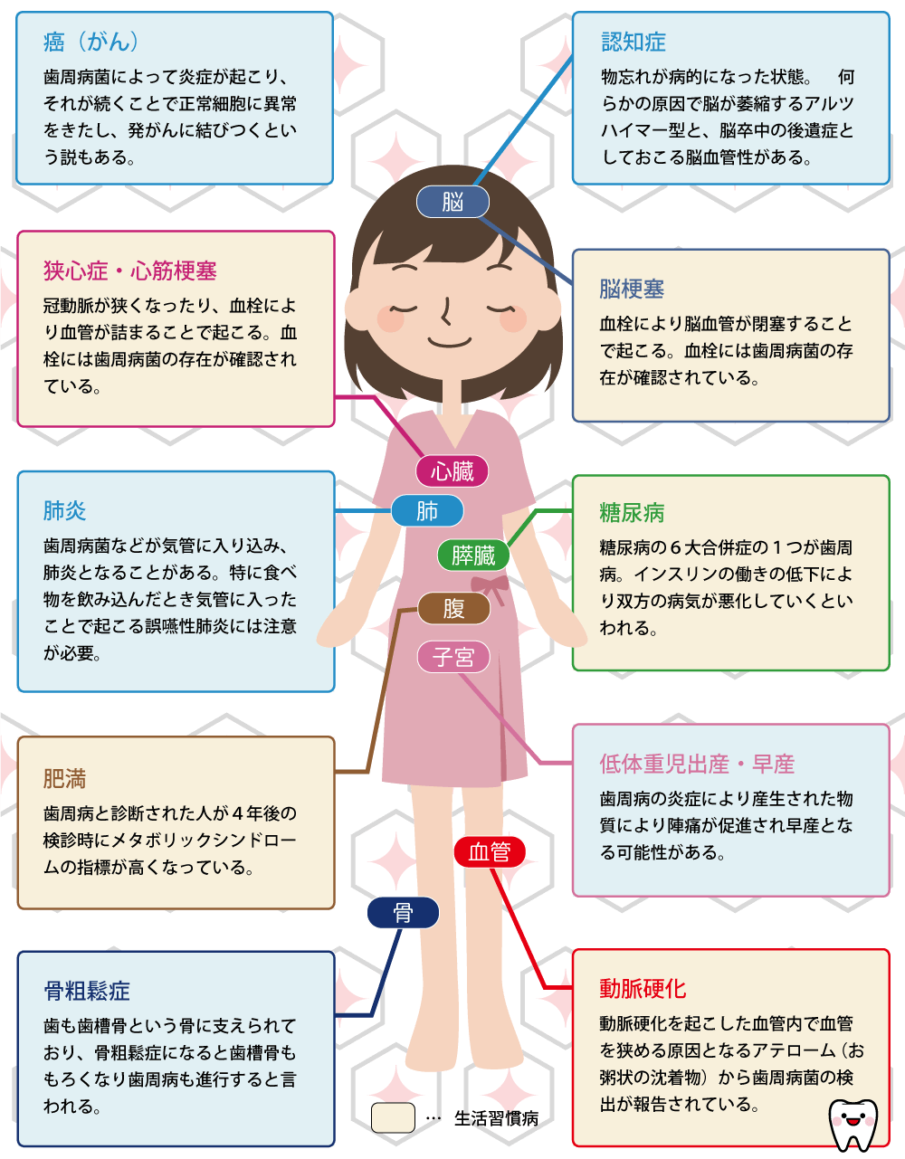 歯周病 は全身疾患の原因となります