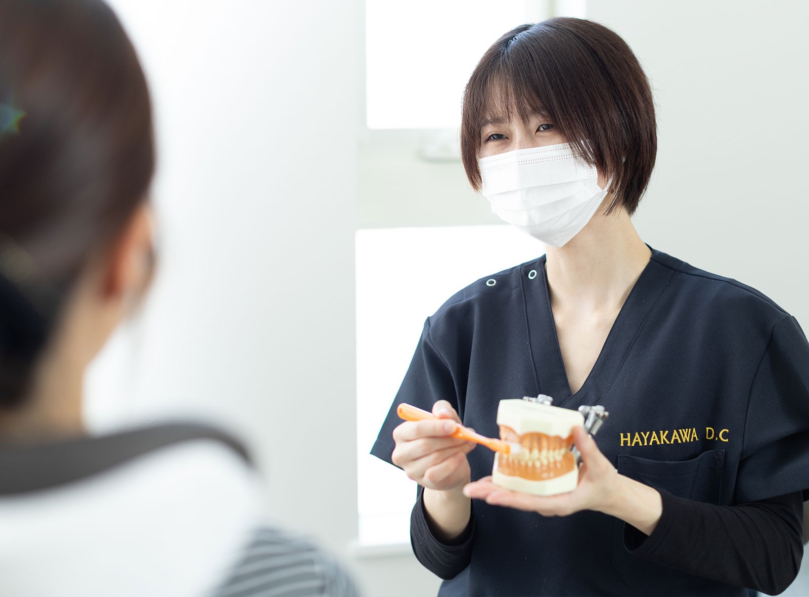 専門的なケアで健康な環境を維持しています