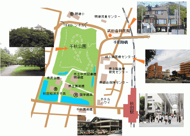 大きな公園の近くに院を構えております