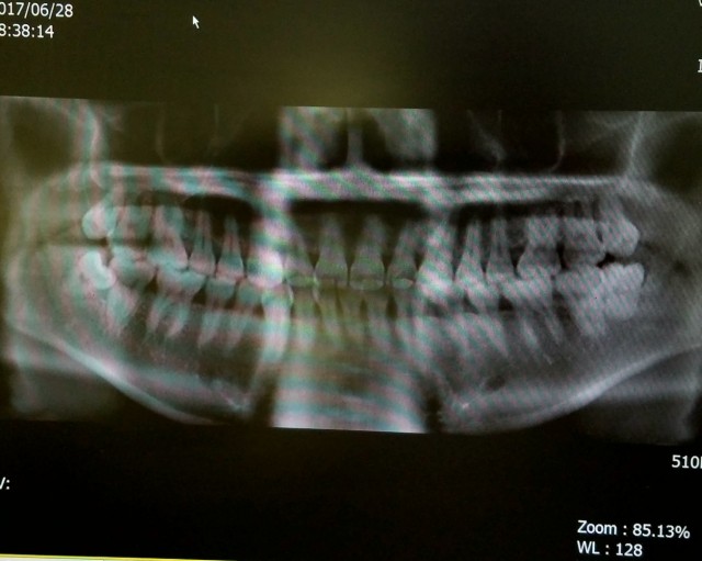 地域で安心して相談できる歯科口腔外科として、口腔の機能と健康を総合的に守る診療を提供しています。※写真はイメージです。