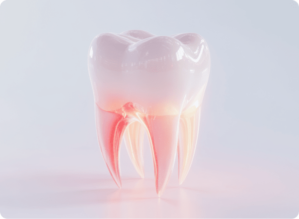 土台となる機能をしっかり整える