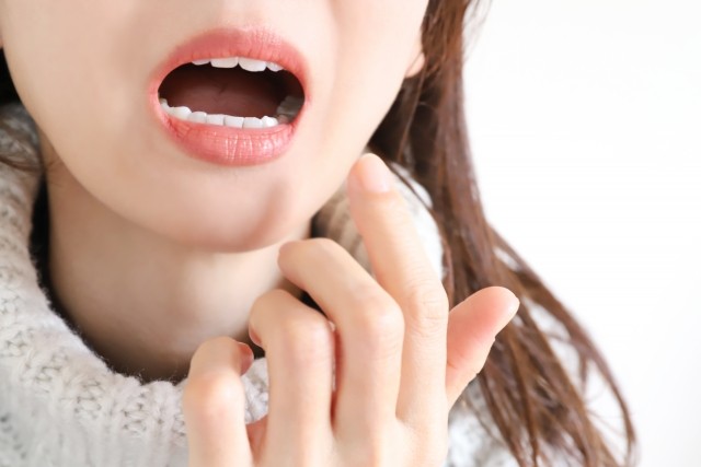 写真はイメージです