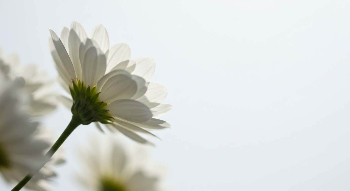 共に歩む信頼の歯科医療