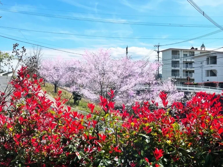 ①外観②診療ユニット③診療室からの景色