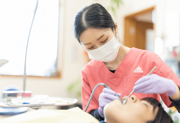 定期検診をご活用下さい