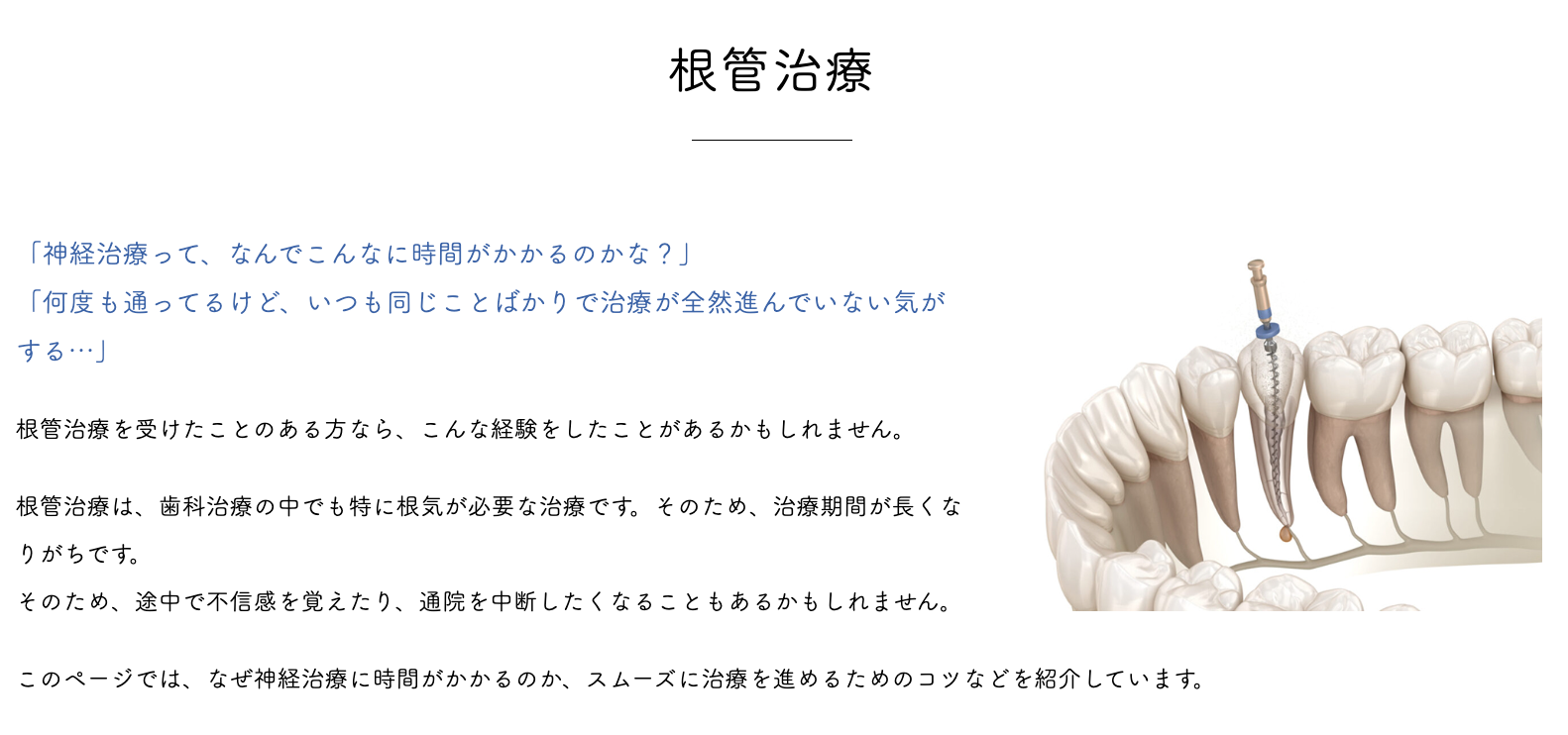 歯の健康を長く保つため、精密な根管治療を行っています