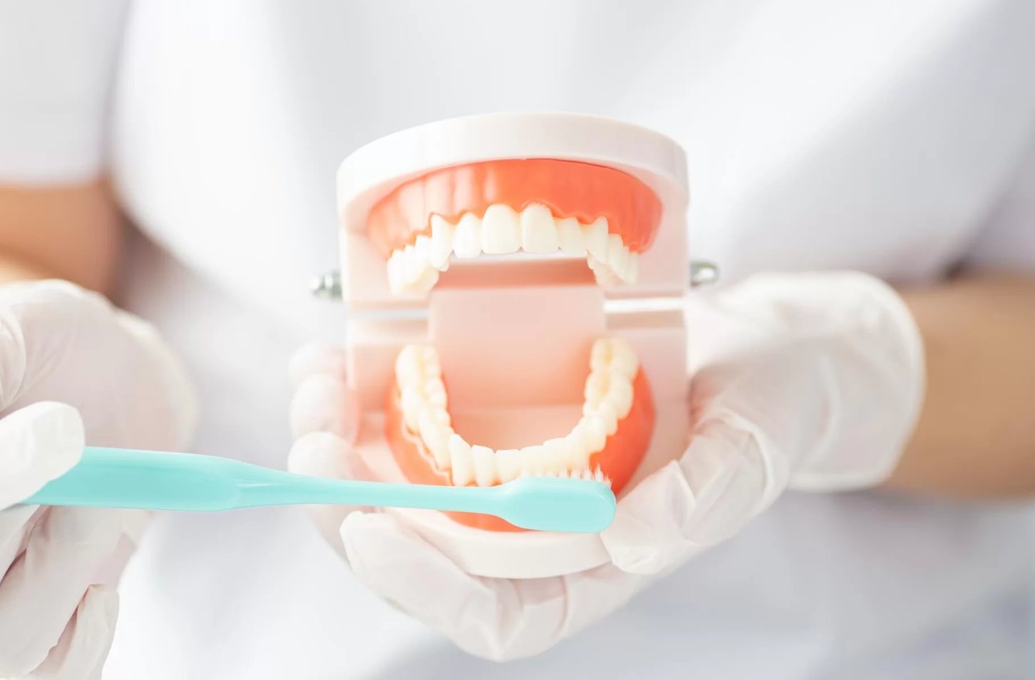 機能美を兼ね備えた自然な美しさの実現