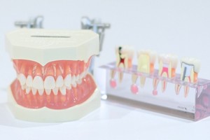 たての歯科では自覚症状がない段階からの予防と治療を大切にしています