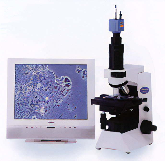 位相差顕微鏡検査