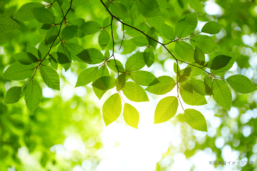 患者様との信頼関係を大切にした診療体制が築かれています